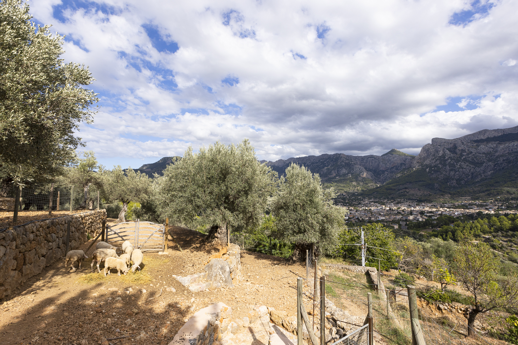CASARURAL_019