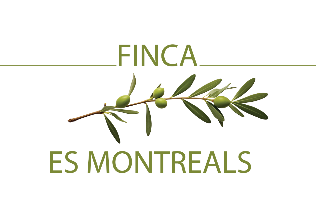 fincaesmontreals.com